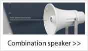 Combination speaker